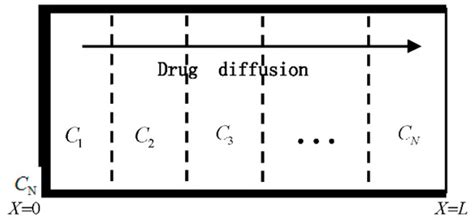 Regularization Cuckoo Search Algorithm for Multi-Parameter Optimization ...