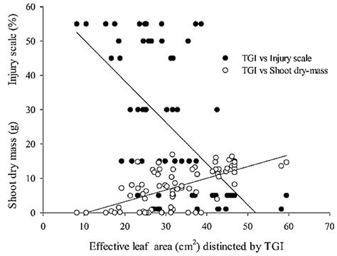 Triangular Greenness Index to Evaluate the Effects of Dicamba in Soybean