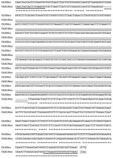 Identification of Male-Specific Molecular Markers by Recombination of ...