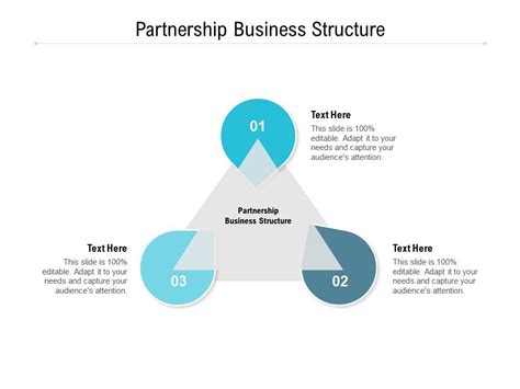 Commercial Partnership Structure 的图像结果