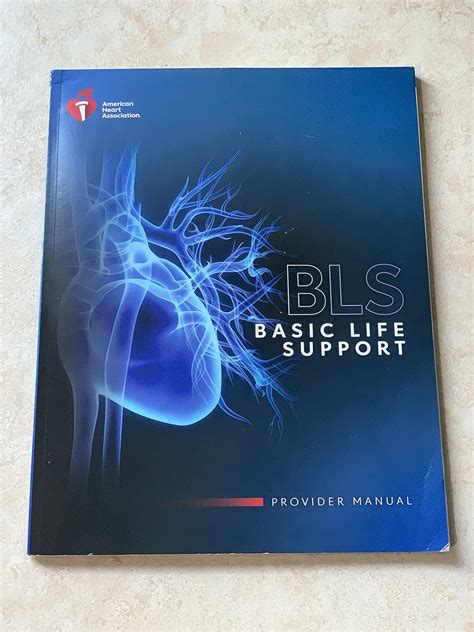 Bls Provider Manual 2020: Amaerican Heart Ass: 9781616697686: Amazon ...