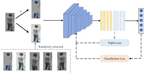 Image result for Contrastive Learning Domain Generalization