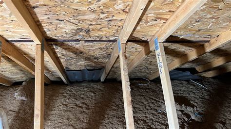 What Does Black Mold Smell Like?