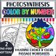 Photosynthesis Color by Number | Biology Review Worksheet Activity
