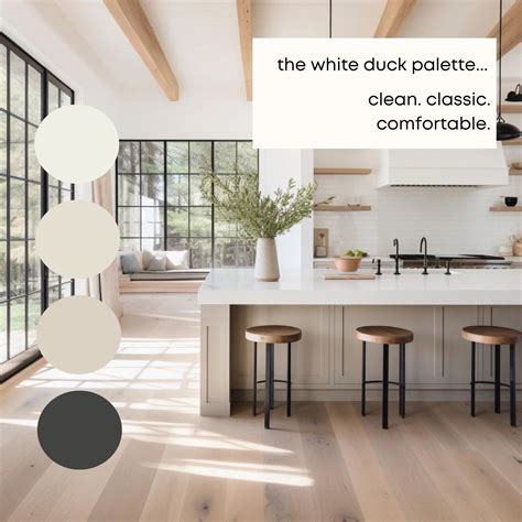Sherwinwilliams White Duck Paint