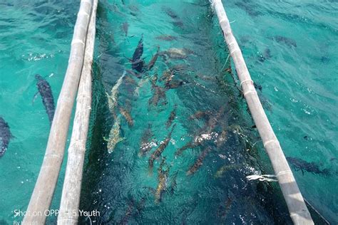 CAR/TRICYCLE/MOTORCYCLE FOR RENT ALBAY AND SORSOGON (2025) All You Need ...