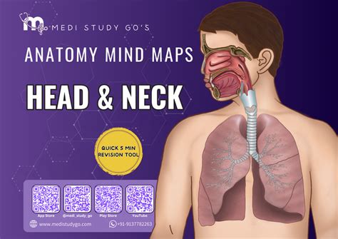 Mind maps (Medical) – Medi Study Go
