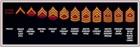 Image result for Colonel USM Rank