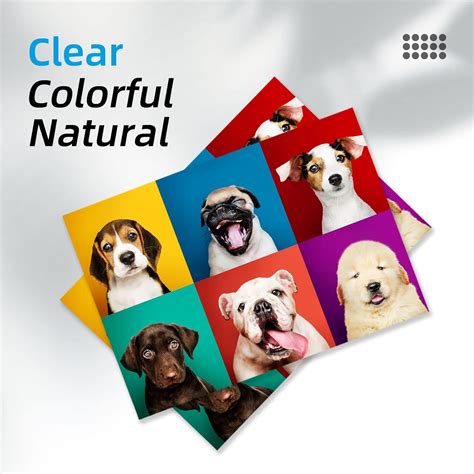 61XL Printer Ink for HP 61 Ink Cartridges Combo Pack | Ubuy India