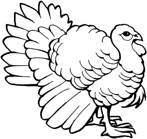 Free Black And White Turkey Outline, Download Free Black And White ...