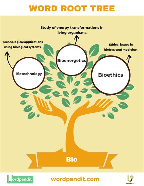 The Bio Root Word: Key Terms and Meanings in Life Sciences