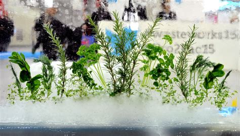 IFE - The International Food & Drink Event 2025