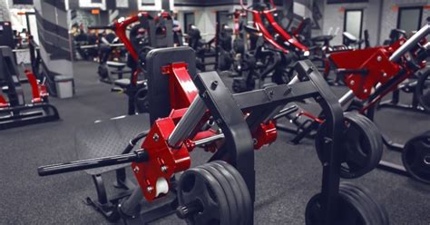 Weight Machine Workout Plan-Actionable Wellness