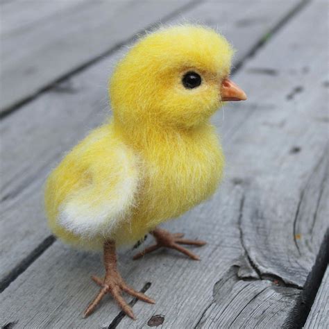 Woolen Thread Animals 的图像结果