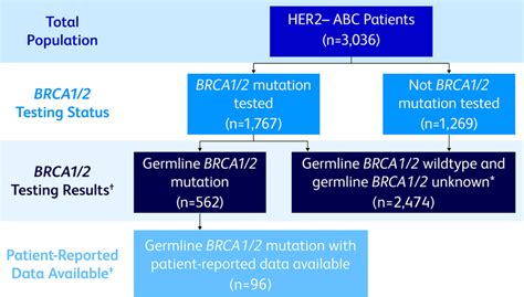 Image result for BRCA1 Testing