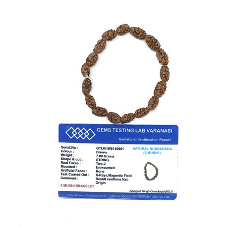 Buy MAHANT JI 100% Natural Cerified Indonesian 2 Mukhi Rudraksha ...