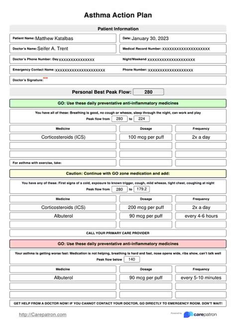 Asthma Action Plan & Example | Free PDF Download
