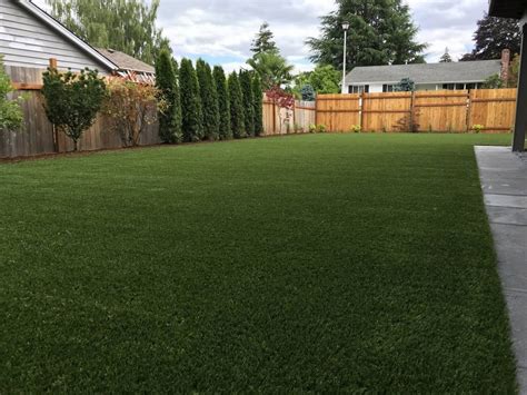 What Are The Pros And Cons Of Astro Turf | Storables