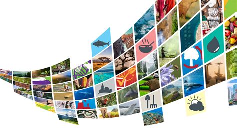 Global Biodiversity Outlook 5 | Convention on Biological Diversity