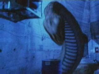 Image result for Python Movie Cast