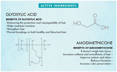 Beauty Garage K9 Botoplexx Shampoo & Conditioner (300+300ml) Pack of 2 ...