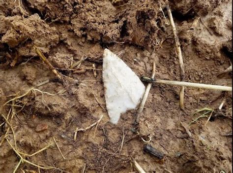 Native American Arrowheads: Unveiling the Secrets of Ancient Craftsmanship
