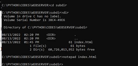 Python Web Server Tutorial 的图像结果