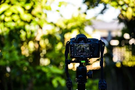 13 Best Free Stock Video Footage Websites for 2020 (+Licensing Guide)