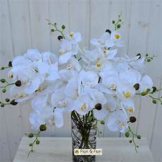 fiori artificiali real touch fiore artificiale orchidea phalaenopsis real touch bianco fiori artificiali real touch fiore artificiale orchidea phalaenopsis real touch bianco