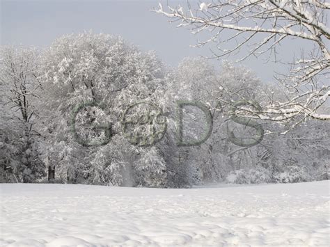 Image result for Snow Scene with Scripture