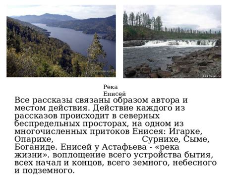 Презентация "Человек и природа в книге "Царь-рыба" В. Астафьева".