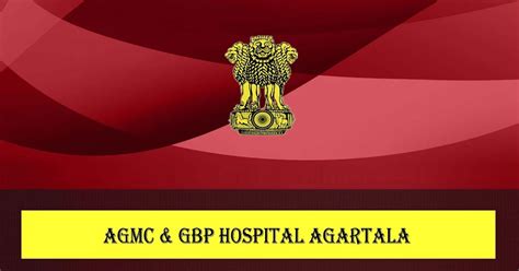 AGMC & GBP Hospital Recruitment 2024 – 53 Various Posts