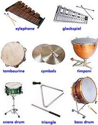 Image result for Different Types of Instruments