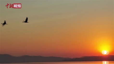 中国科幻 的图像结果