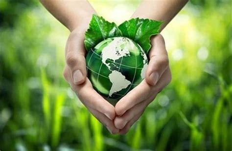 Sustainability an overarching theme in Budget 2024 | Autocar Professional