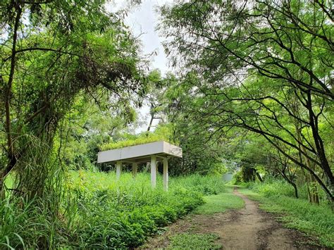 TAMPINES ECO GREEN (2026) All You Need to Know BEFORE You Go (with ...