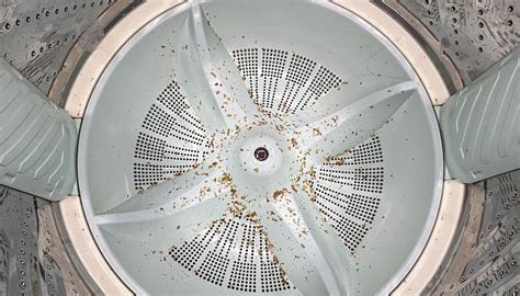 Image result for Clean Inside Top Loading Washing Machine