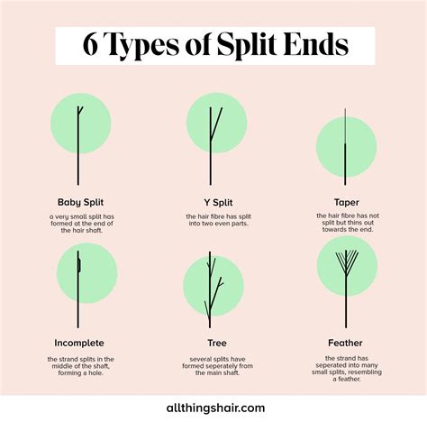 Complete Guide to Rid of Split Ends and Prevent Future Damage | All ...