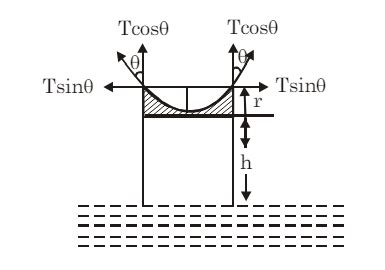 Mechanical Properties of Fluids: Capillarity - Physics for JEE Main and ...