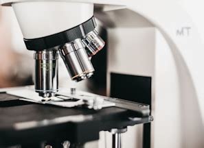 MicroCosmos Imaging Systems - Microscope Automation and Image Analysis ...