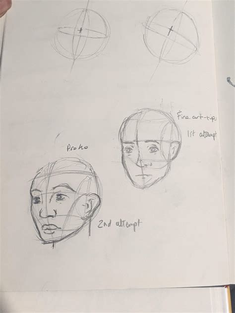 Image result for Loomis Method Step by Step