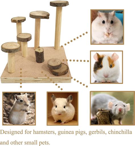 Buy Hamiledyi Hamster Wooden Climbing Platform, Gerbil Living System ...