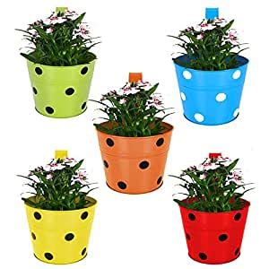 TrustBasket Single Pot Railing Plant with Polka Dots (Pack of 5 ...