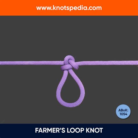 Image result for Loop to Loop Connection Knot