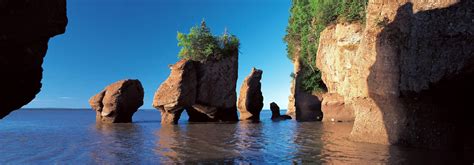 THE BEST 15 Things To Do in New Brunswick | Attractions & Activities ...