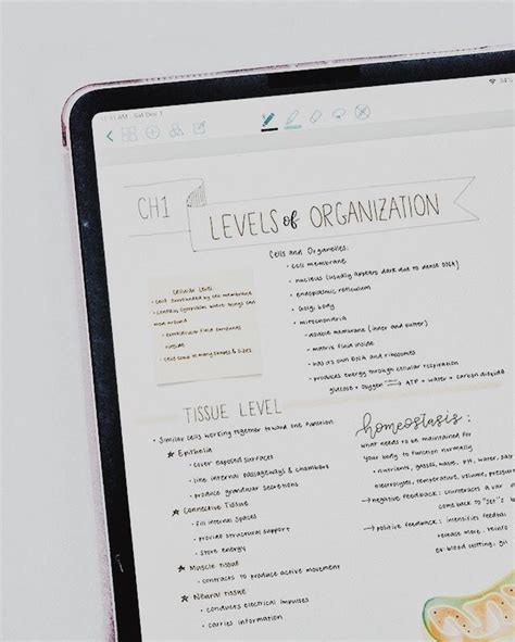 Good Notes Tutorial 的图像结果