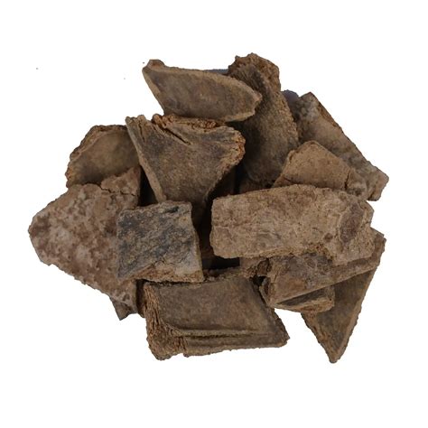 Gambhari Chilka - Gmelina arborea - Yuvika Herbs Ayurveda