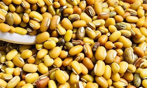 బొబ్బర్లతో కలిగే ఆరోగ్య ప్రయోజనాలు తెలిస్తే.. మీరు అస్సలు ఆగరు | Here ...