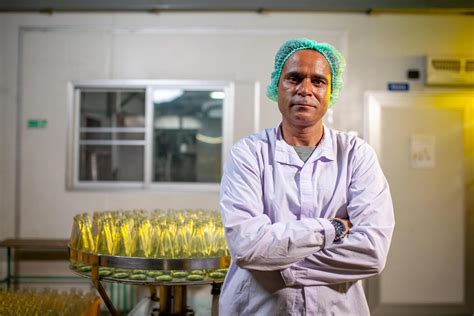 Food Manufacturing Industry Image 的图像结果