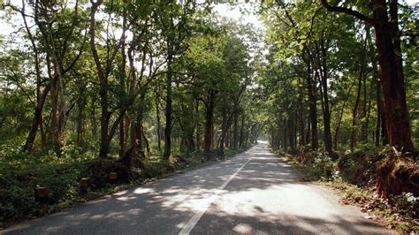 What is Bioaesthetic planning? – Ugaoo